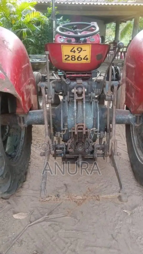Massey-Ferguson 135 1992 Tractor (Used)