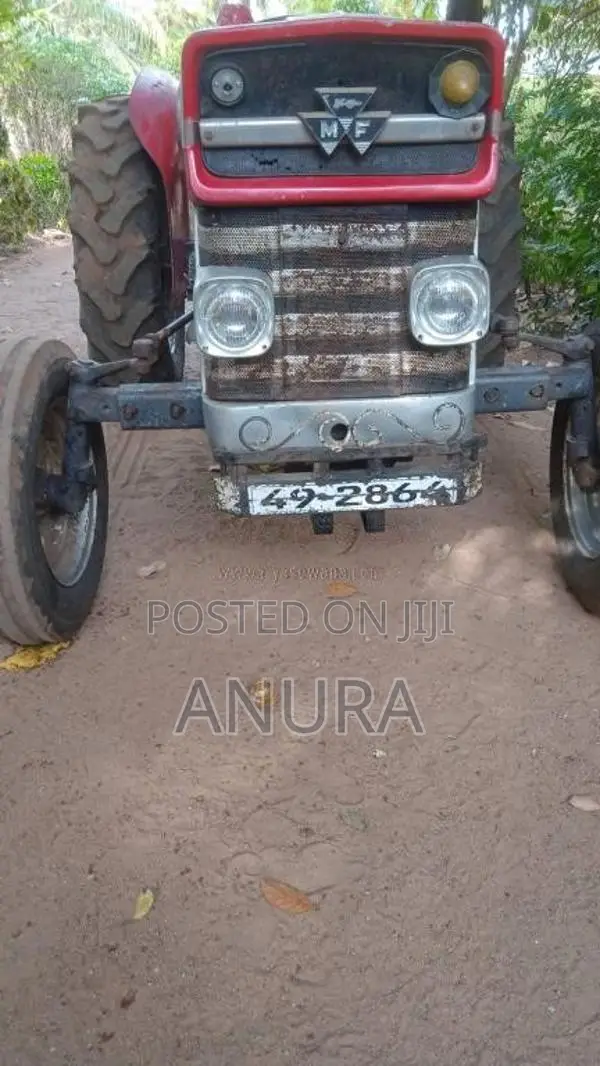 Massey-Ferguson 135 1992 Tractor (Used)