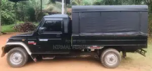 Mahindra Bolero 2019 Pickup (Used)