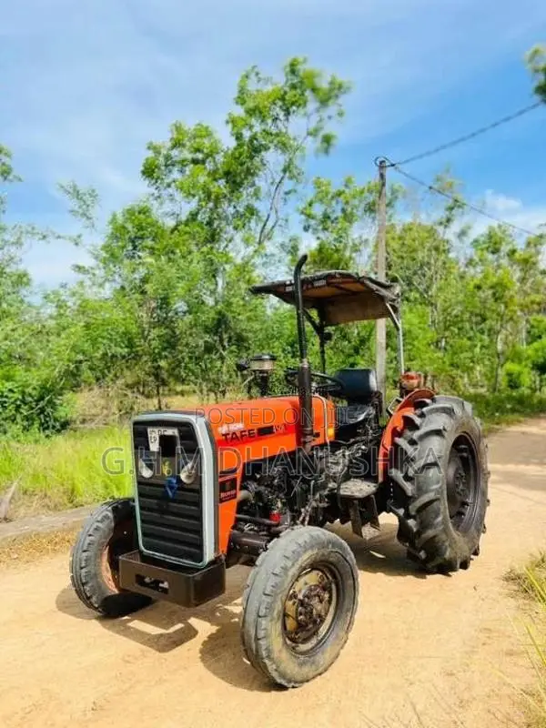 TAFE 45DI 2018 Tractor (Used)
