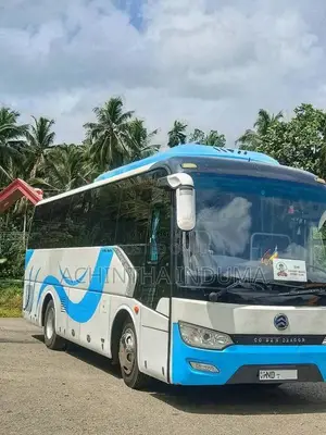 Other Golden Dragon 2018 Bus (Used)
