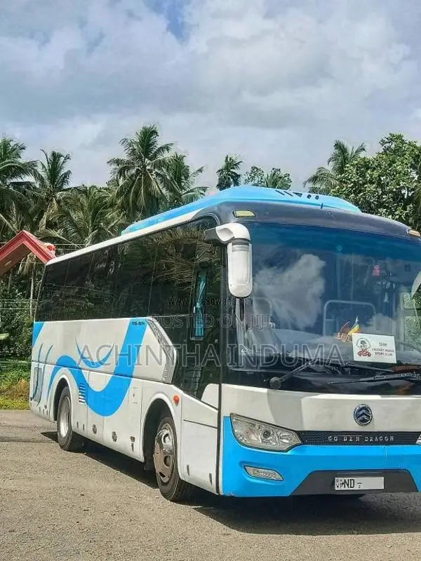 Other Golden Dragon 2018 Bus (Used)