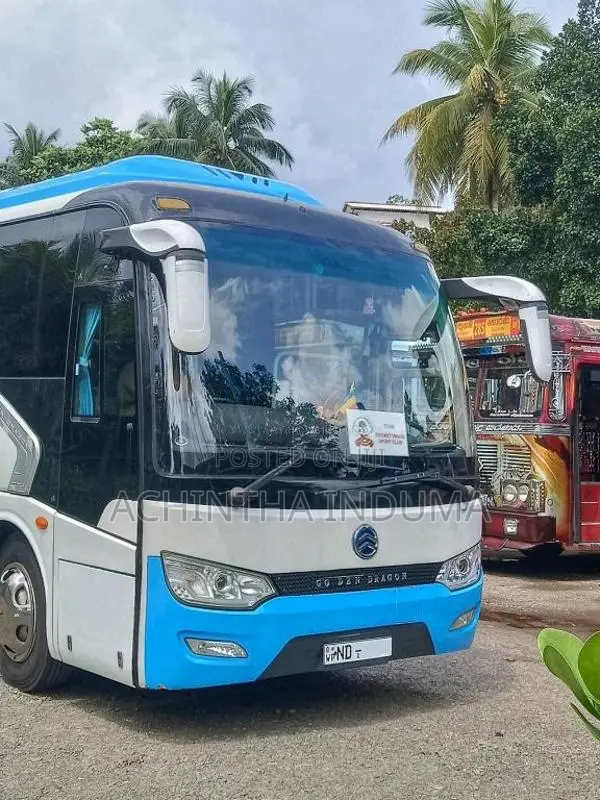 Other Golden Dragon 2018 Bus (Used)