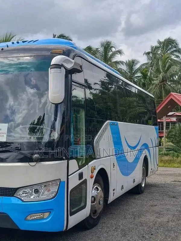 Other Golden Dragon 2018 Bus (Used)