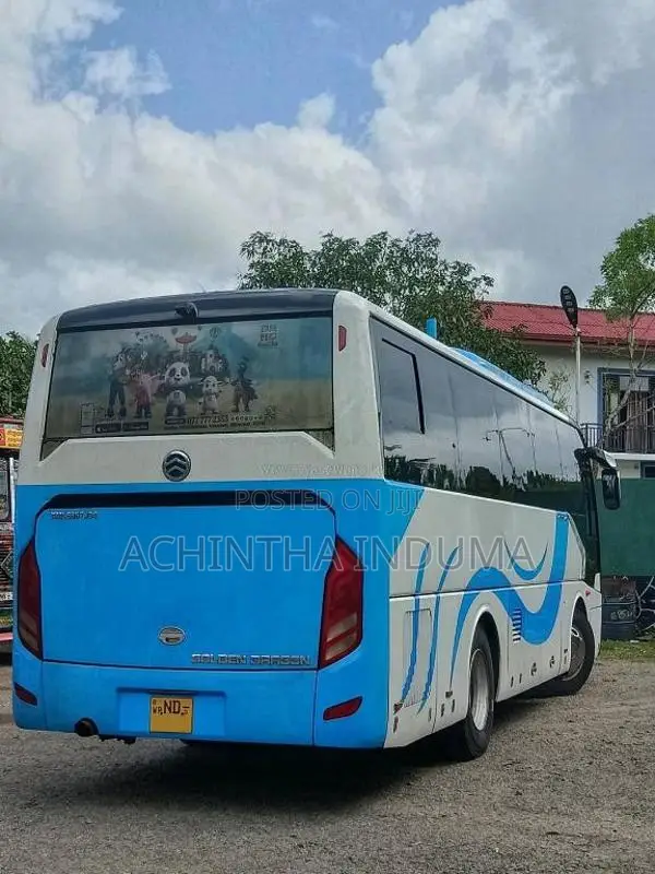 Other Golden Dragon 2018 Bus (Used)