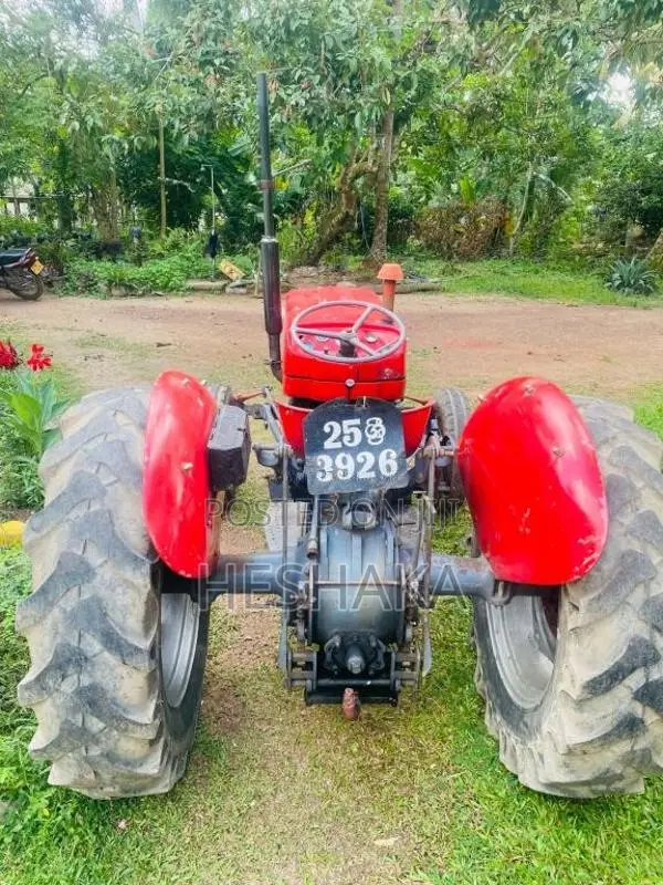 Massey-Ferguson 135 1980 Tractor (Used)