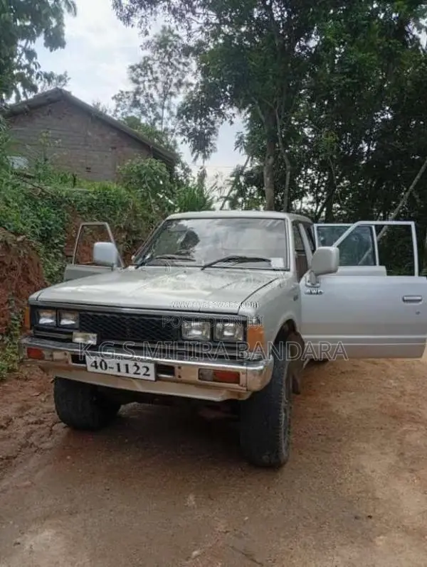 Nissan Datsun 1984 Pickup (Used)
