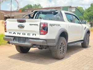 Ford Raptor 2025 Pickup (Used)