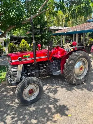 Massey-Ferguson 135 1980 Tractor (Used)