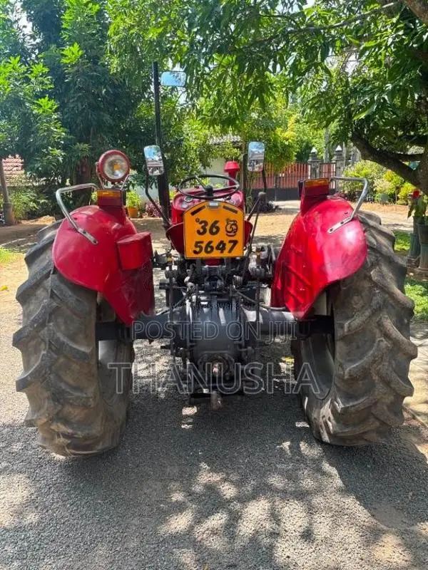 Massey-Ferguson 135 1980 Tractor (Used)