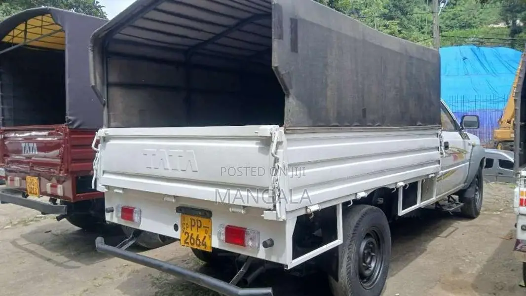 Tata 207 2010 Pickup (Used)