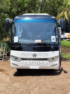 Micro Golden Dragon 2021 Bus (Used)