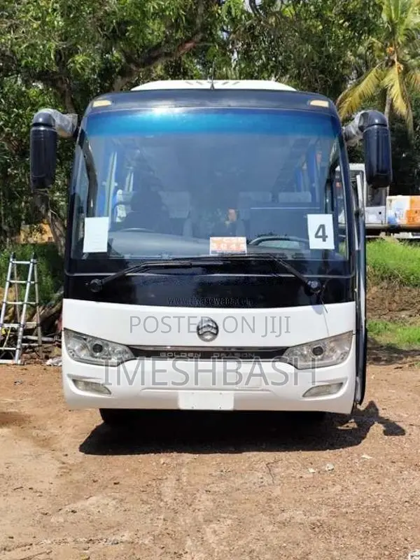 Micro Golden Dragon 2021 Bus (Used)
