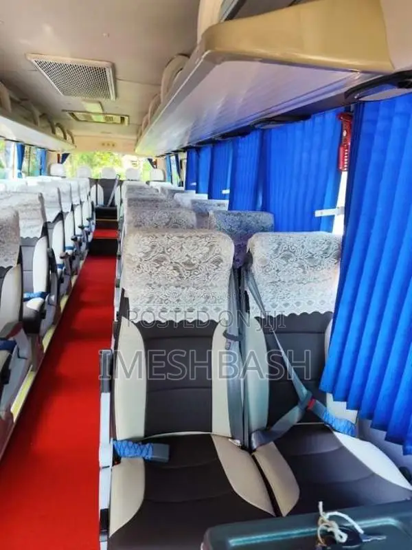 Micro Golden Dragon 2021 Bus (Used)