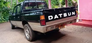 Nissan Datsun 1984 Pickup (Used)
