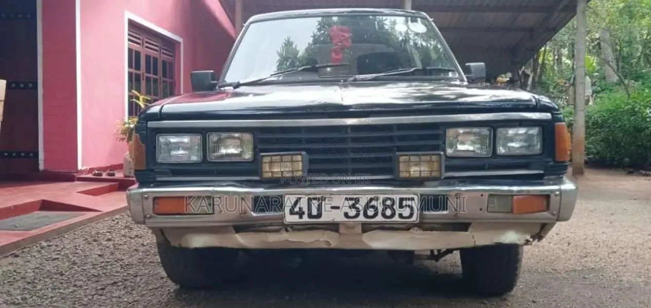 Nissan Datsun 1984 Pickup (Used)