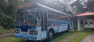 Ashok-Leyland Viking 2016 Bus (Used)