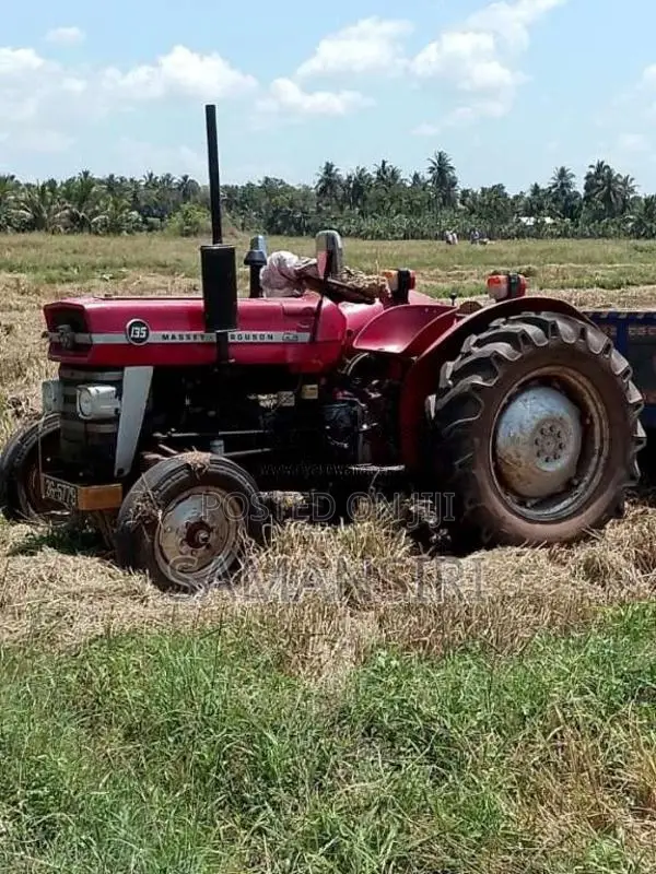 Massey-Ferguson 135 1979 Tractor (Used)