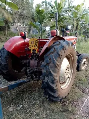 Massey-Ferguson 135 1979 Tractor (Used)