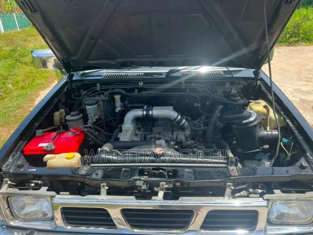 Nissan D21 1985 Pickup (Used)