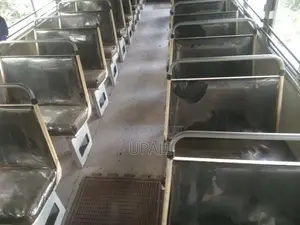 Ashok-Leyland Viking 2002 Bus (Used)