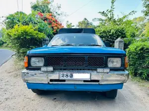 Datsun Single Cab 1981 Pickup (Used)