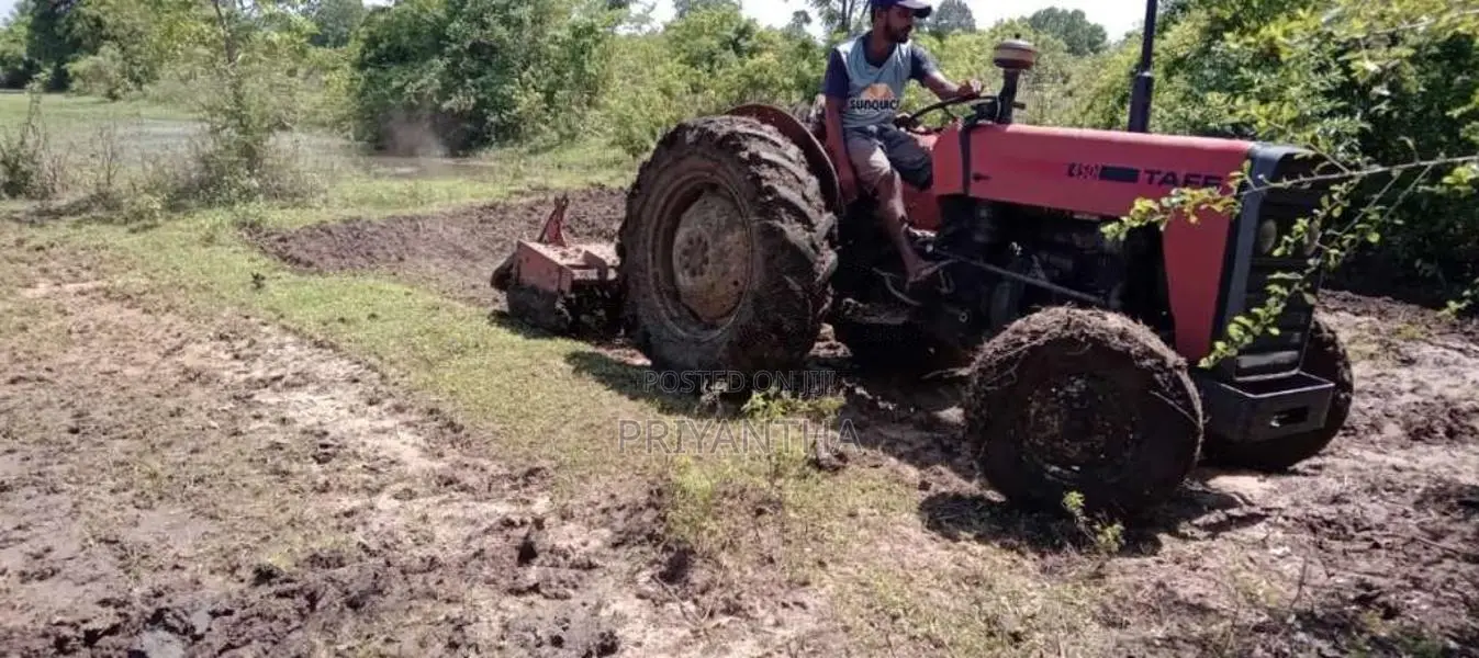 TAFE 45DI 2005 Tractor (Used)