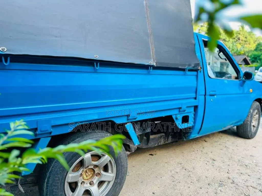 Datsun Single Cab 1981 Pickup (Used)