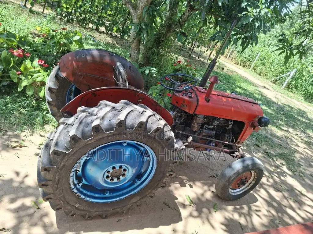 TAFE IMT 539 1995 Tractor (Used)