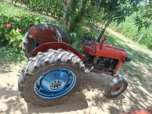TAFE IMT 539 1995 Tractor (Used)
