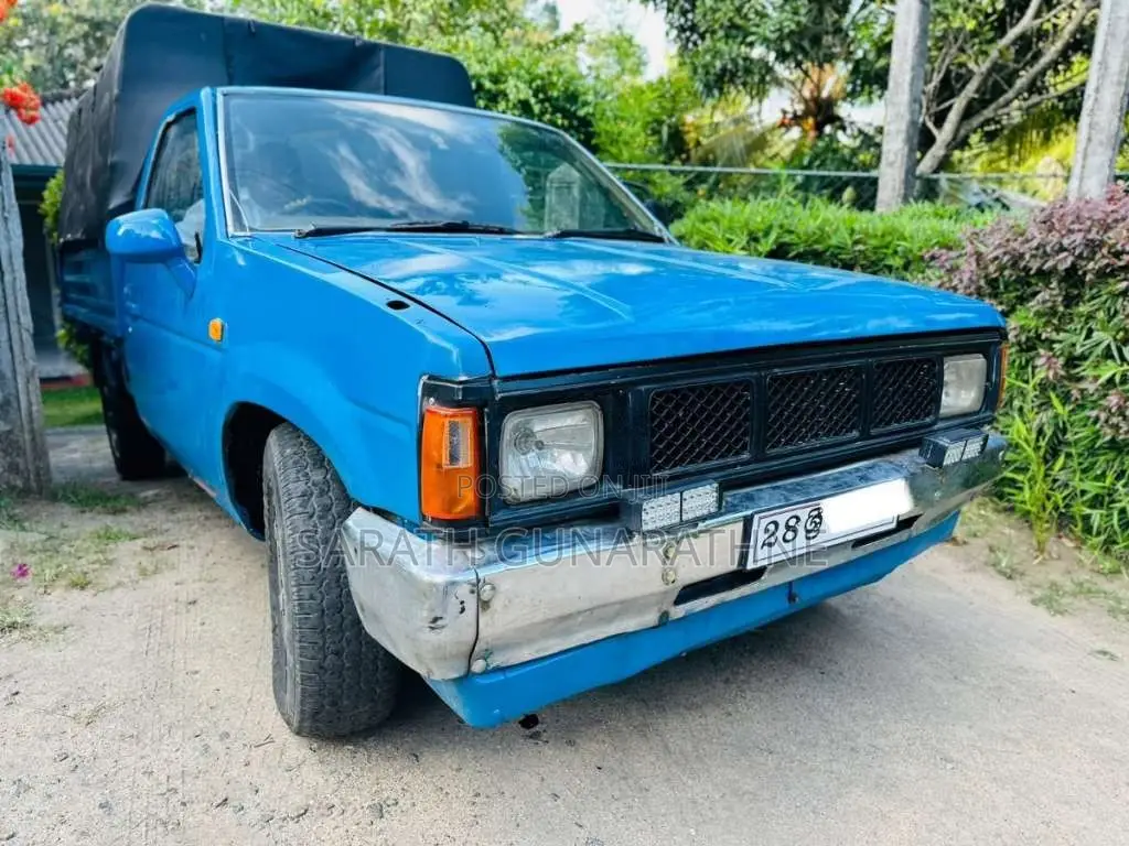 Datsun Single Cab 1981 Pickup (Used)