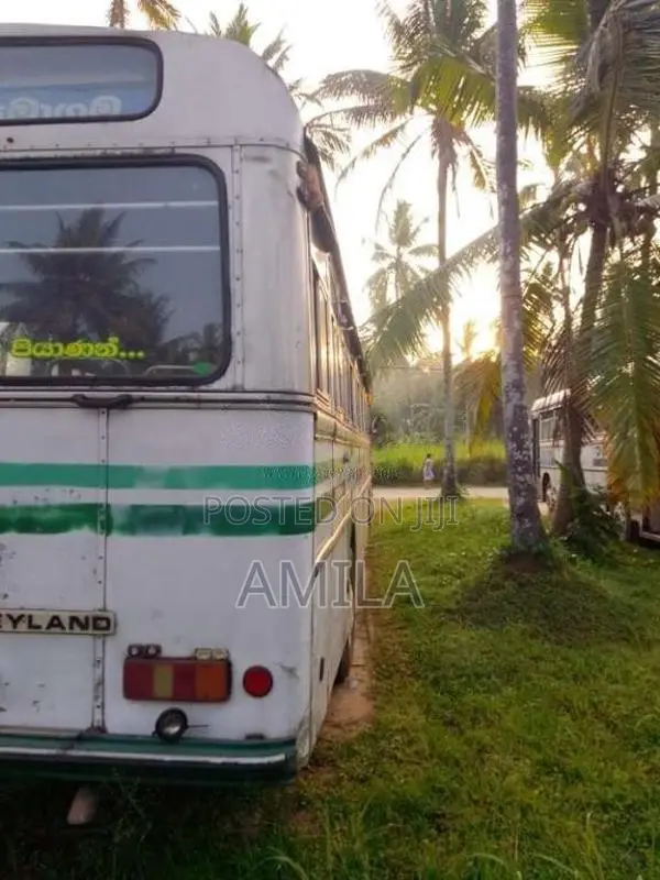Ashok-Leyland Viking 2006 Bus (Used)