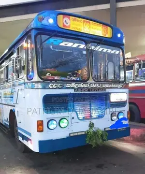 Ashok-Leyland Viking 2019 Bus (Used)