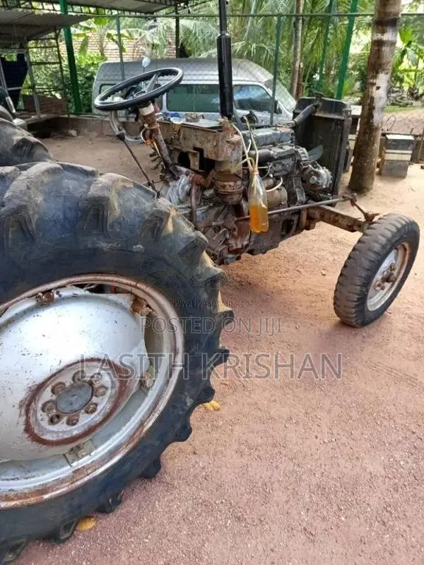 Massey-Ferguson 135 Dl 1980 Tractor (Used)