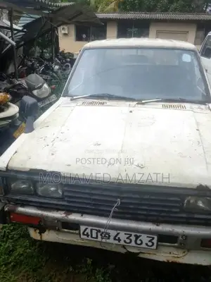 Nissan Datsun 1984 Pickup (Used)
