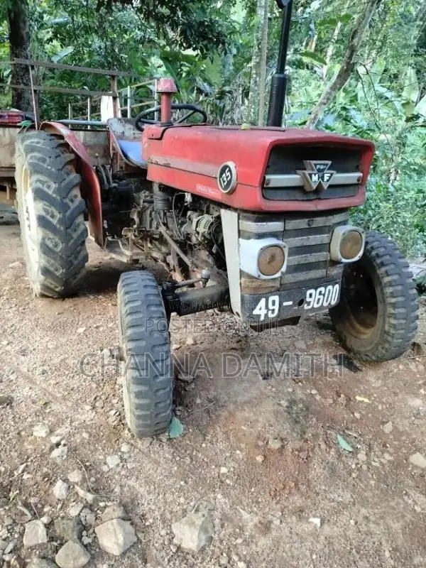 Massey-Ferguson 135 1985 Tractor (Used)