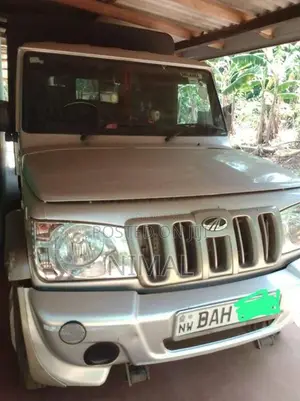 Mahindra Bolero 2019 Pickup (Used)