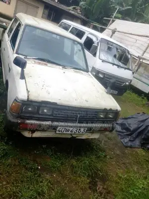 Nissan Datsun 1984 Pickup (Used)