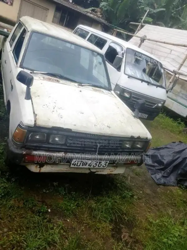Nissan Datsun 1984 Pickup (Used)
