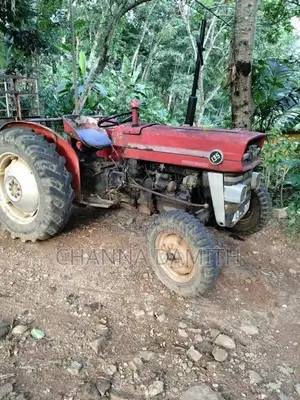 Massey-Ferguson 135 1985 Tractor (Used)