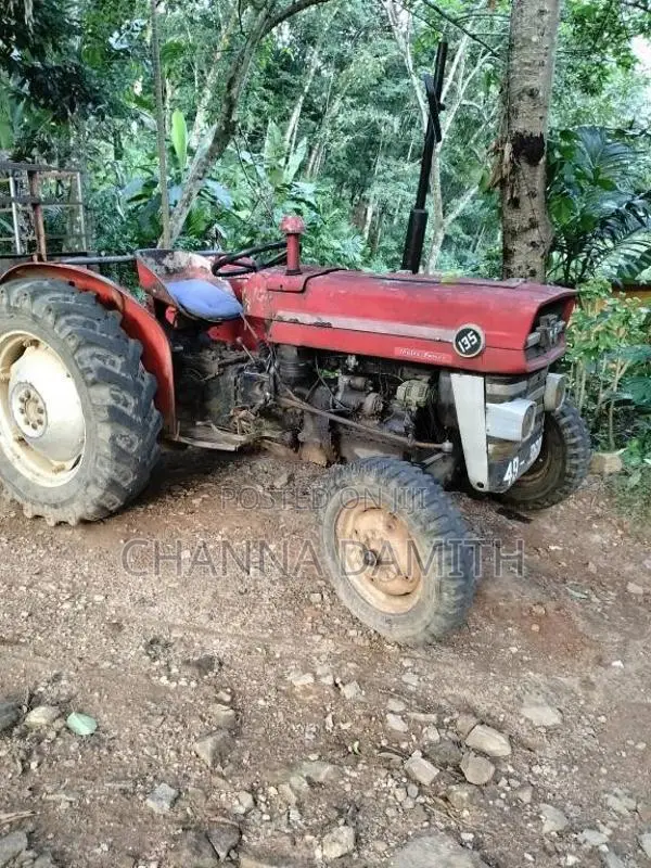 Massey-Ferguson 135 1985 Tractor (Used)