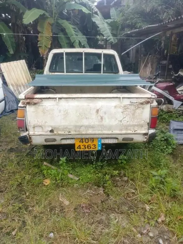 Nissan Datsun 1984 Pickup (Used)