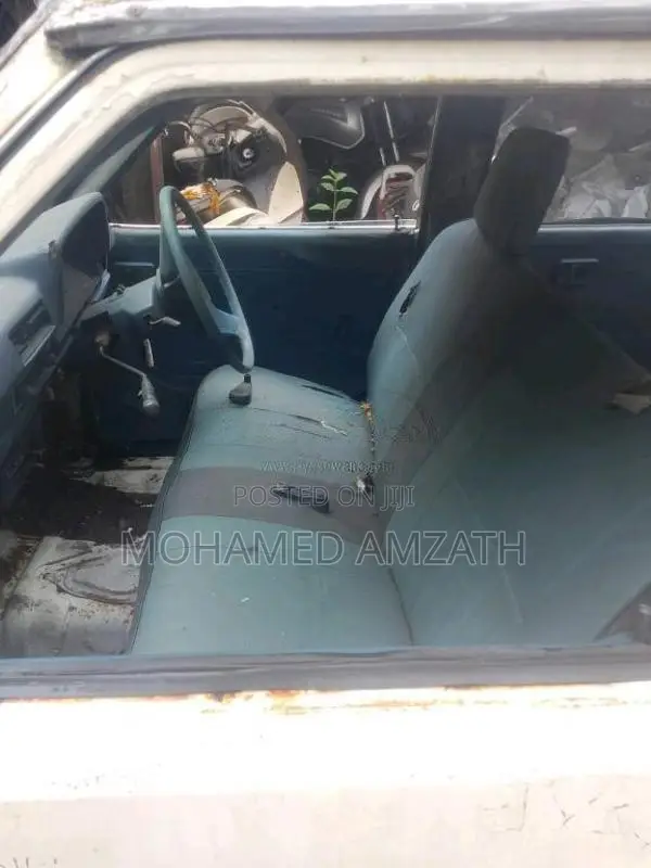 Nissan Datsun 1984 Pickup (Used)