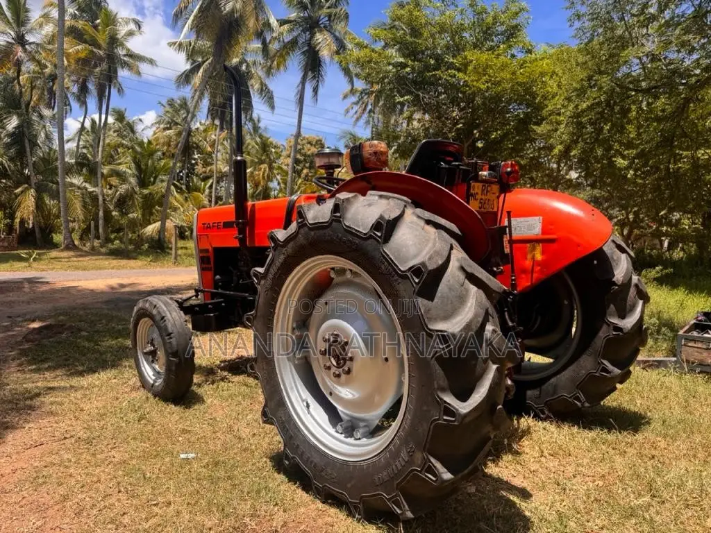 TAFE TAFE 2018 Tractor (Used)