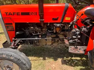 TAFE TAFE 2018 Tractor (Used)