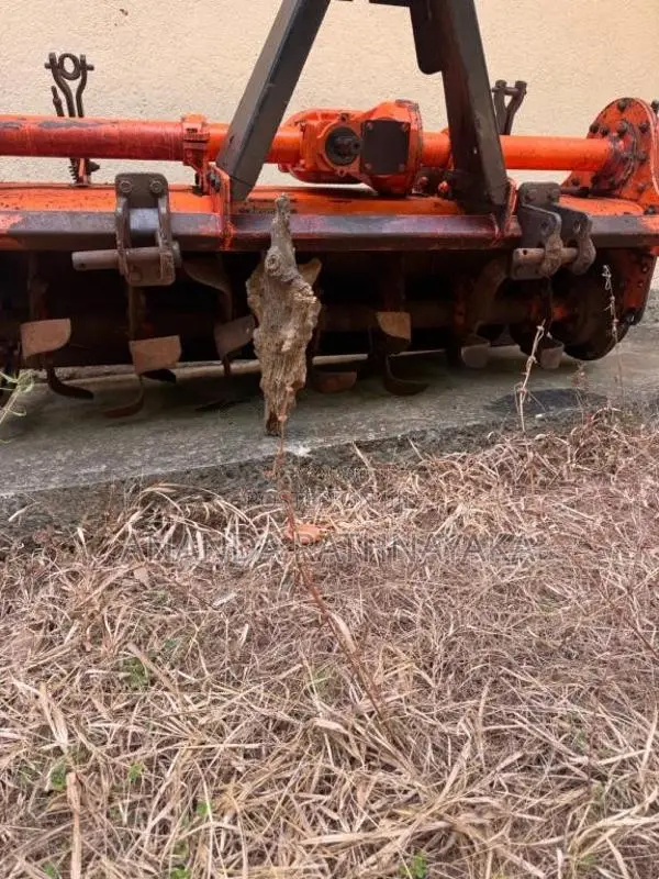 TAFE TAFE 2018 Tractor (Used)