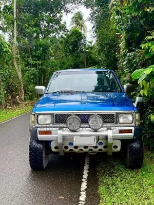 Nissan Datsun 1984 Pickup (Used)