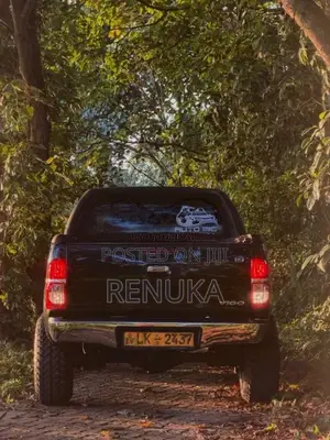 Toyota Hilux 2009 Pickup (Used)