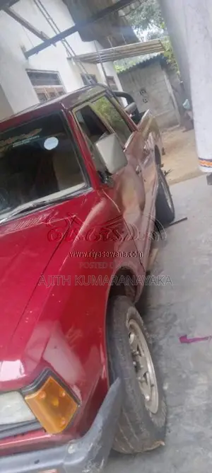 Nissan Datsun 1981 Pickup (Used)