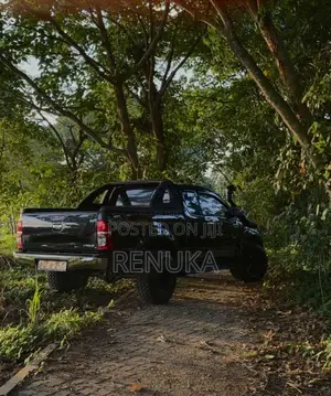 Toyota Hilux 2009 Pickup (Used)